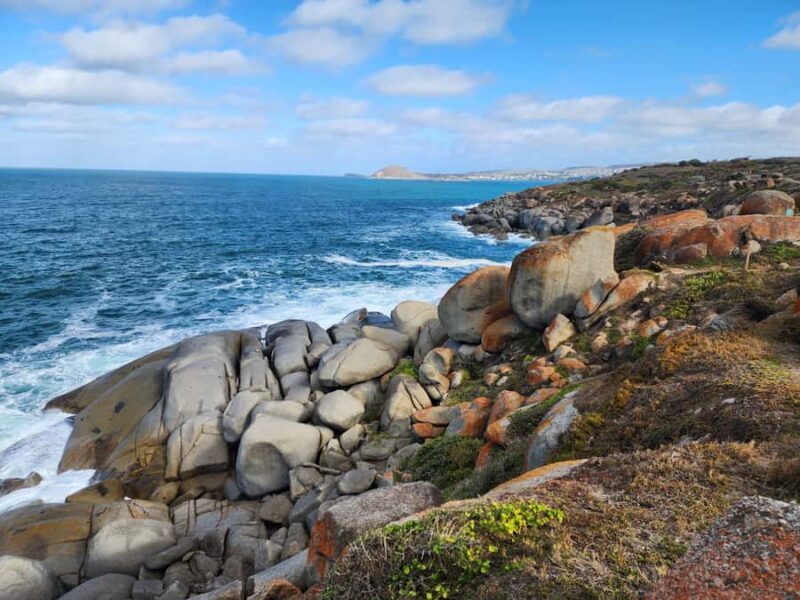 Adelaide: Premium Victor Harbor, Port Elliot and d'Arenberg - Port Elliot: Coastal beauty and panoramic views
