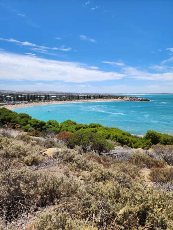 Adelaide: Premium Victor Harbor, Port Elliot and d'Arenberg - The iconic dArenberg Cube: Art, architecture, and wine