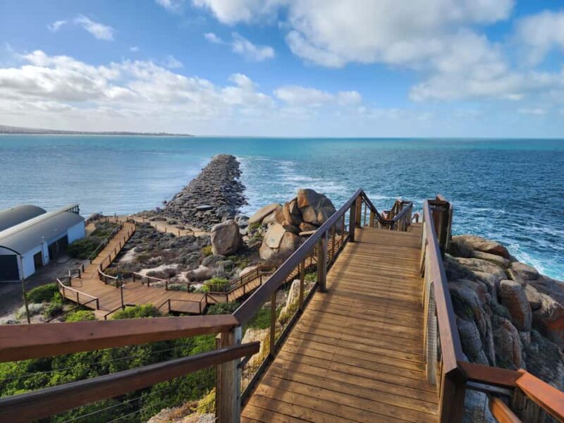 Adelaide: Premium Victor Harbor, Port Elliot and d'Arenberg - Return journey: Wrapping up with more scenic views