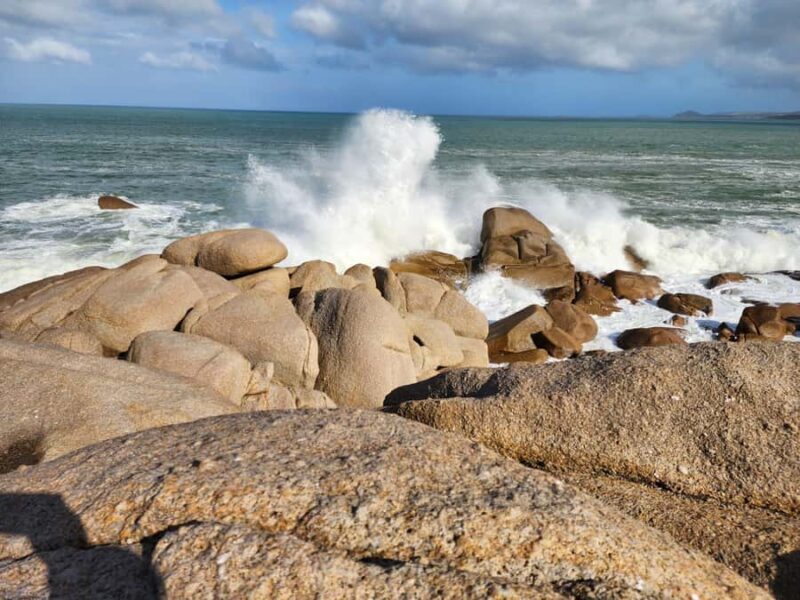 Adelaide: Premium Victor Harbor, Port Elliot and d'Arenberg - Who is this tour best suited for?