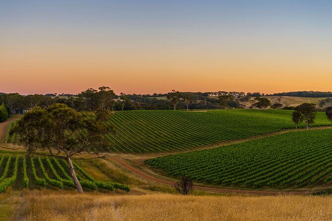 Adelaide Private Airport and City Transfer - The Sum Up