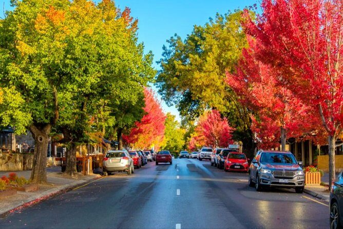 Adelaide: Private Boutique Wine Tasting & Sightseeing Tour - What Travelers Are Saying
