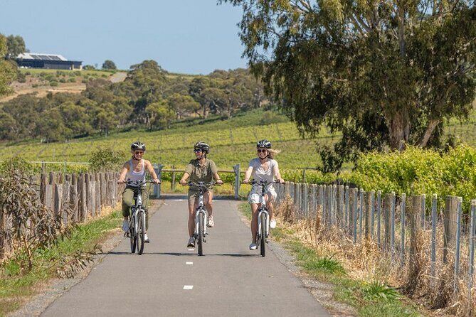 Adelaide Scenic E-Bike Tour and Wine Tasting - Final Thoughts