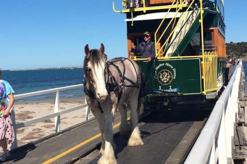 Adelaide: South Australia Guided Full-Day Highlights Tour - Key Points