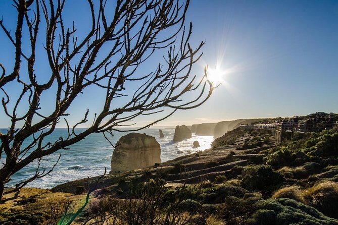 Adelaide to Melbourne 3-Day Trip Grampians and Great Ocean Road - Who Should Consider This Tour?
