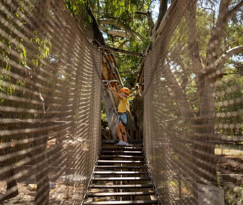 Adelaide: TreeClimb Adelaide Climb For Little Adventurers - Key Points