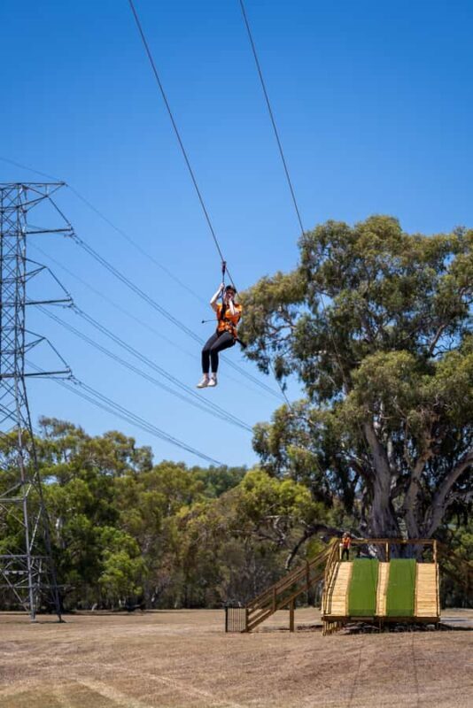 Adelaide: TreeClimb Adventure - The Thrill of the Salisbury Grand Course