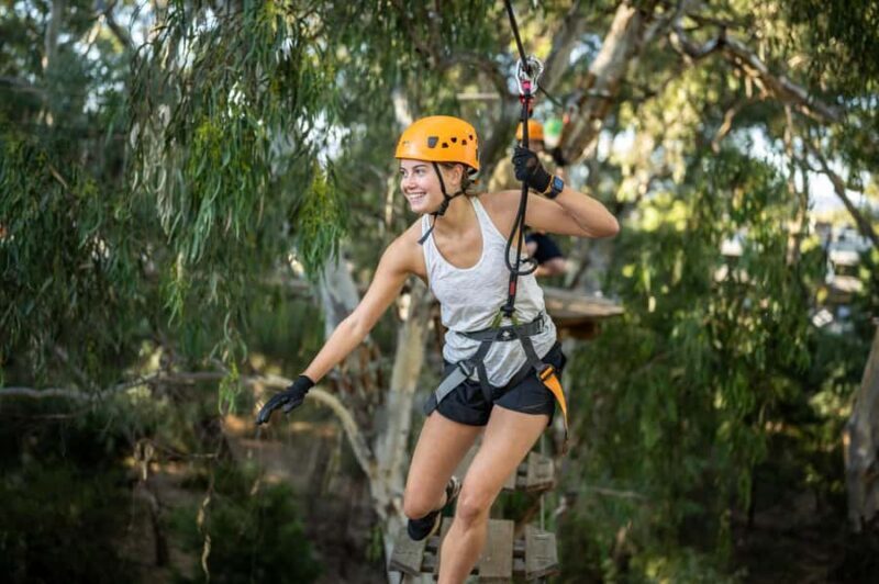 Adelaide: TreeClimb Adventure - The Sum Up