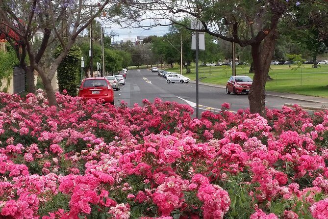 Adelaide Walking Tour: Hills, Squares and Parklands - Practical Details & Tips