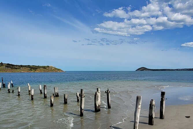 Adelaides Romantic Private Tour: Exploring Love Stories on Foot - Who Should Consider This Tour?