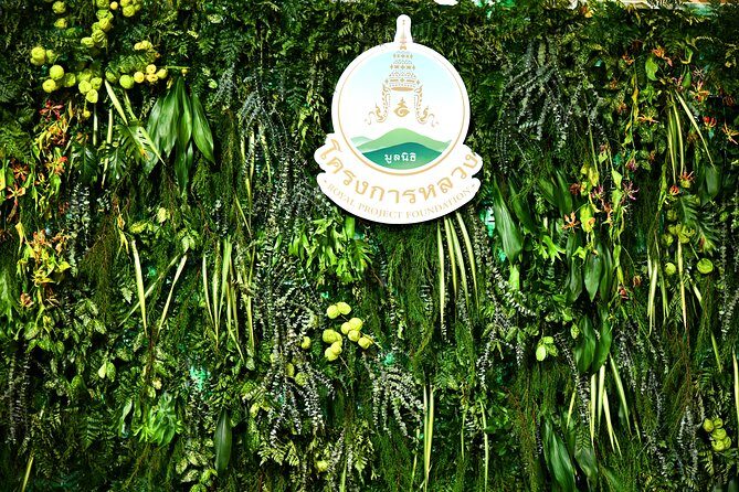 Admiring Natural Heights at Doi Inthanon - The Sum Up