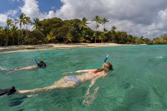 Admission Ticket to Coral World & Coki Point Beach with Snorkeling - The Itinerary: What to Expect