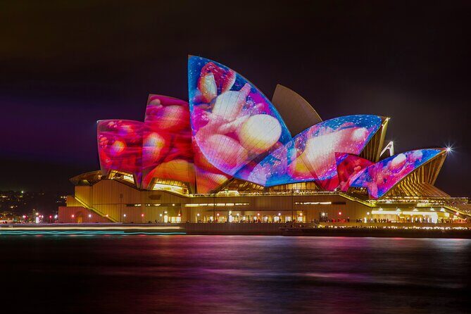 Admission to Vivid Dinner Cruise in Sydney - Authentic Traveler Insights and Considerations