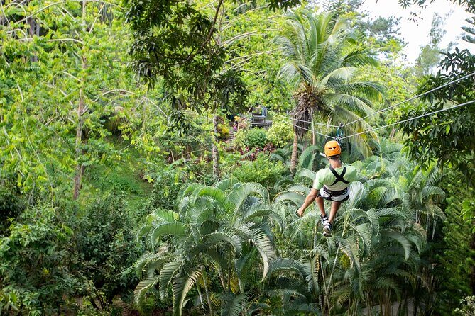 Adrena-Line Zipline, St. Lucia - Who Will Enjoy This Tour?