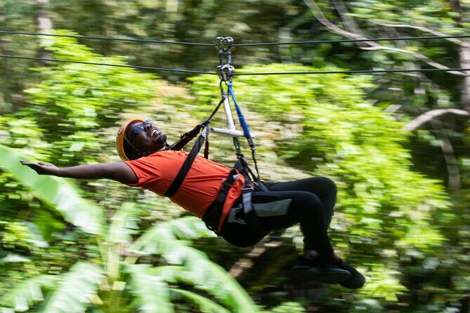 Adrena-Line Zipline, St. Lucia - The Sum Up