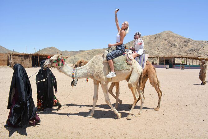 Adrenaline Full Day Safari By ATV quad with Dinner and Night Show - Key Points