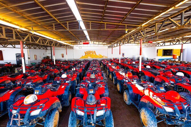 Adrenaline Full Day Safari By ATV quad with Dinner and Night Show - The Value for Money