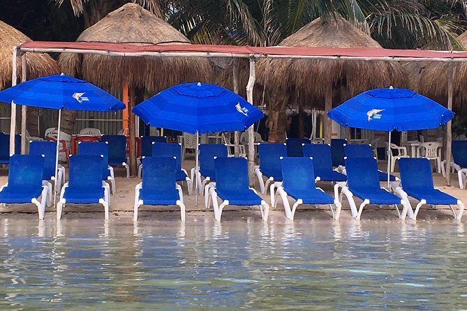 ADULTS GOLD A day at the beach at Los Arrecifes Restaurant-Open Bar And Massage. - Transportation & Logistics