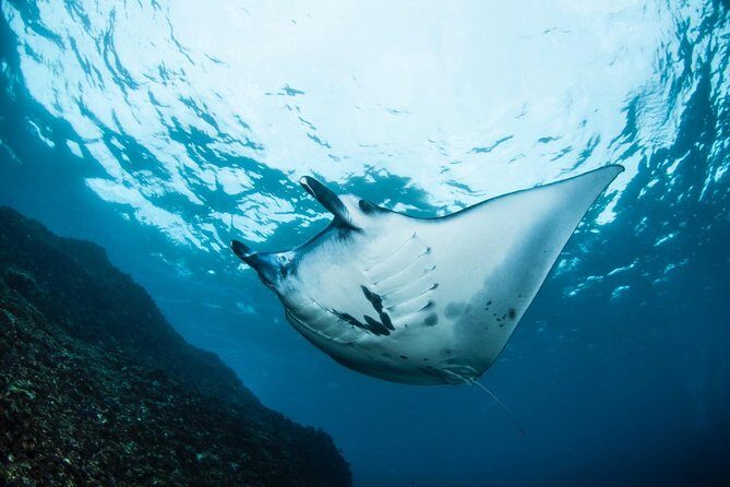Advanced Open Water Course - Advanced Certification in Lembongan (next to Bali) - FAQ