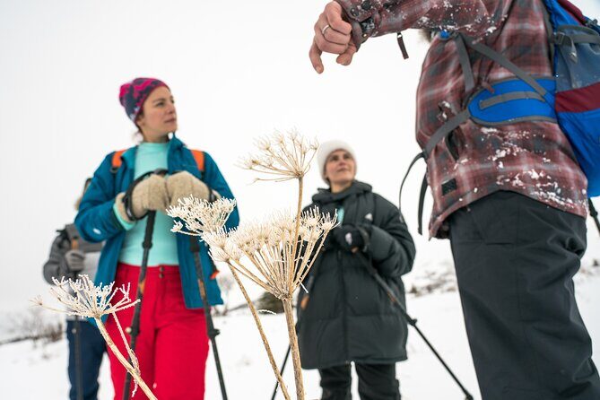 Advanced Snowshoeing Adventure - Exploring the Advanced Snowshoeing Adventure in Anchorage: A Balanced Look