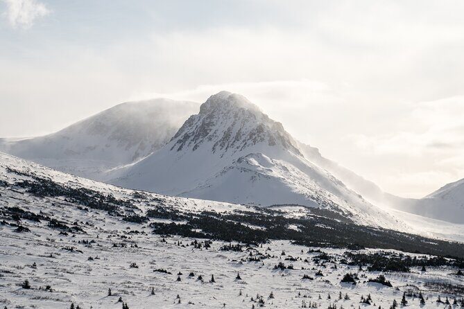 Advanced Snowshoeing Adventure - The Value of This Adventure