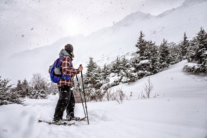 Advanced Snowshoeing Adventure - Who Will Love This Tour?