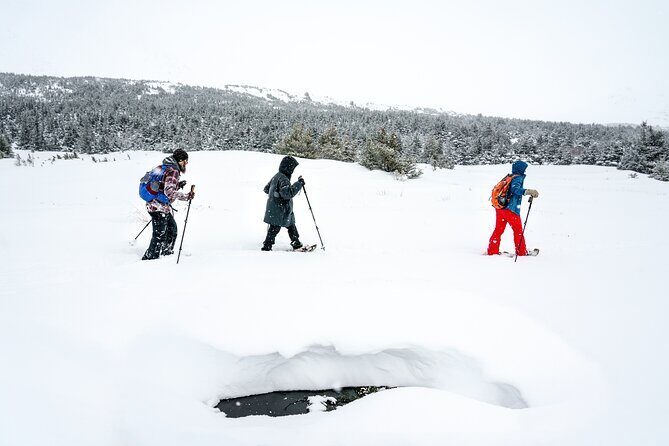 Advanced Snowshoeing Adventure - The Sum Up