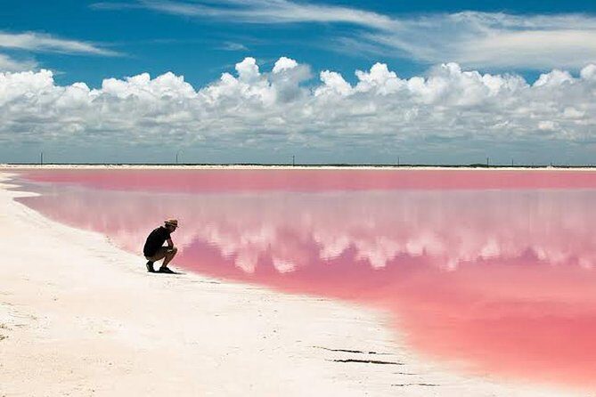 Adventour Day: Coloradas and Rio Lagartos Excursion from Cancun! - A Close Look at the Itinerary and Experience