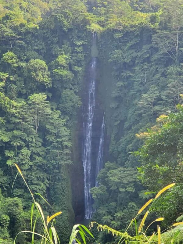 Adventour Samoa: Full Day Tour - Scenic Drive and Additional Stops