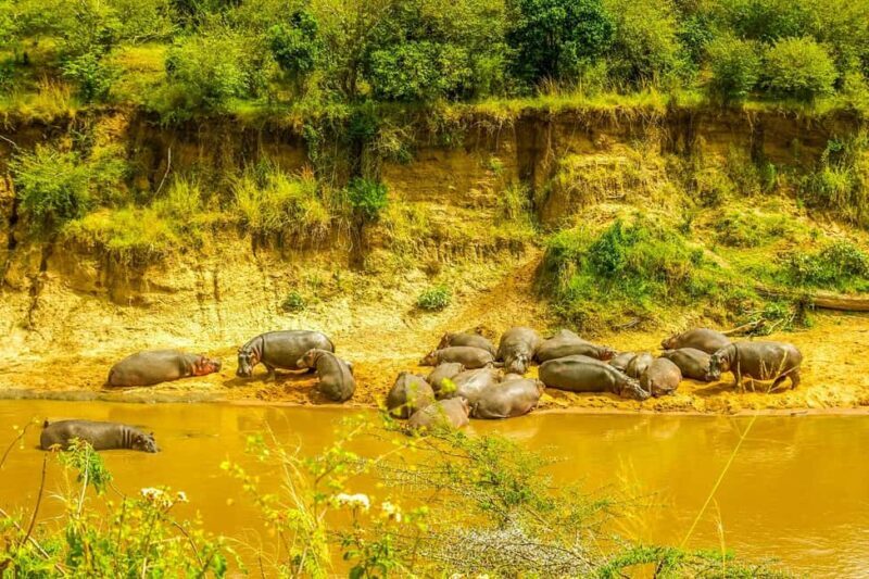 ADVENTURE: 7DAYS KENYA SAFARI - Who Should Consider This Safari?