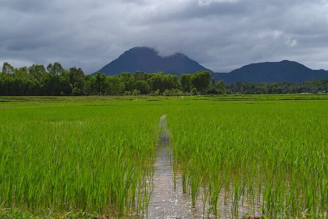 Adventure Bike Tour from Hoi An - Comfort and Practical Details