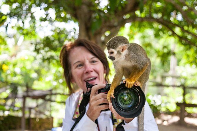 Adventure Bundle: Monkeyland, Ziplines & Buggies Punta Cana - FAQ