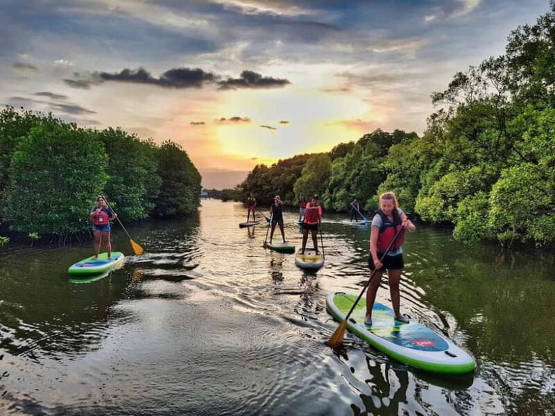 Adventure Cambodia: A 12-Day Guided Tour off the Beaten Path - Exploring the Itinerary: What You’ll Actually Do