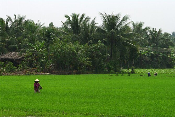Adventure Cu Chi Tunnels and Mekong Delta Tour From HCM - Authentic Experiences and Honest Insights