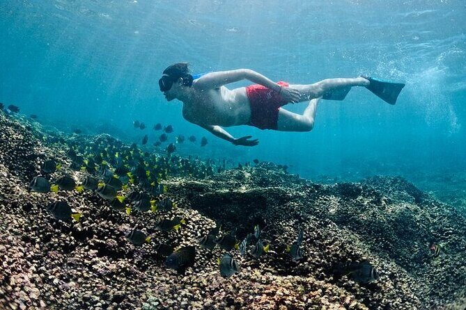 Adventure DE Snorkeling at Dawn - FAQ