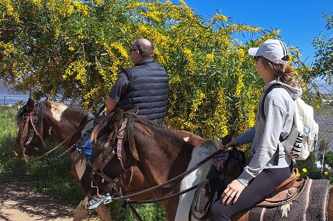 Adventure Delight The Ultimate Combo Ride at Desert Trails - The Guides and Group Dynamics
