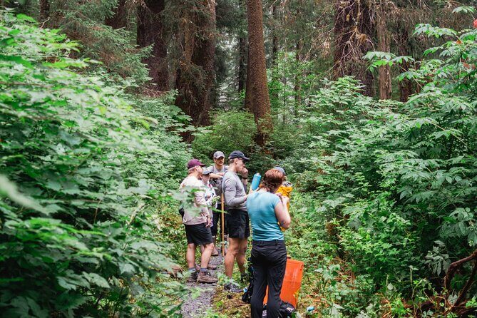 Adventure Hike | ALASKAN WILDERNESS TRAIL - An Honest Review of the Adventure Hike | ALASKAN WILDERNESS TRAIL