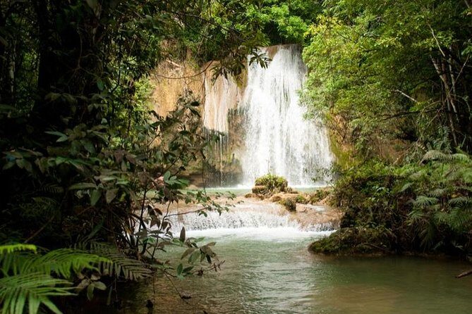 Adventure in the bay of samana and waterfall El limon from punta cana - Transportation and Group Dynamics