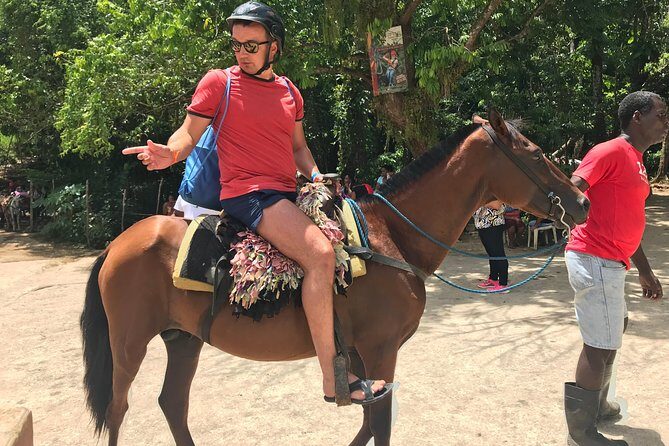 Adventure in the bay of samana and waterfall El limon from punta cana - Who Is This Tour Best For?