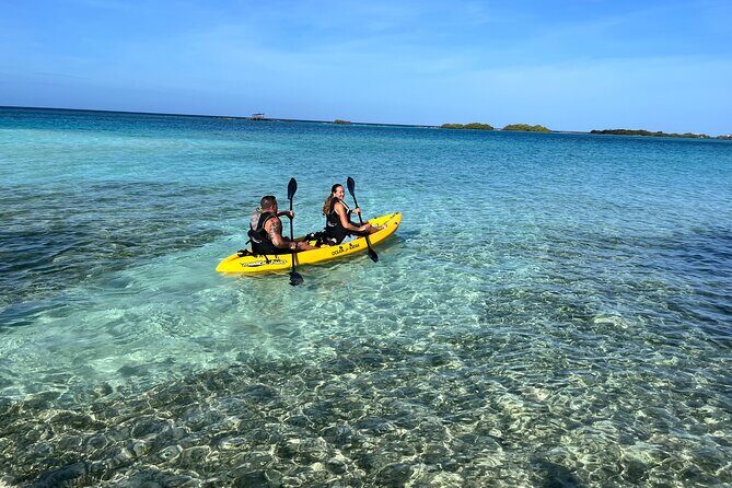 Adventure Kayak & Snorkeling at Reef Island Aruba - A Detailed Look at the Tour Experience