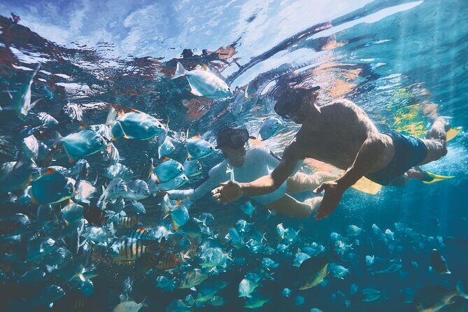 Adventure Moreton Island Scuba Dive Tour - A Closer Look at the Tour
