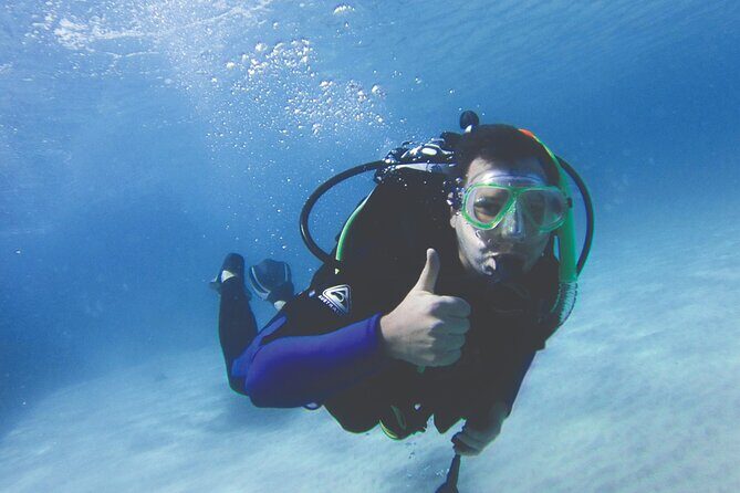 Adventure Moreton Island Scuba Dive Tour - The Sum Up