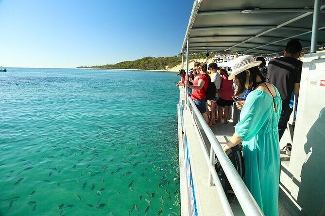 Adventure Moreton Island Wrecks Adventure Package - Exploring the Adventure Moreton Island Wrecks Adventure Package: An Honest Look
