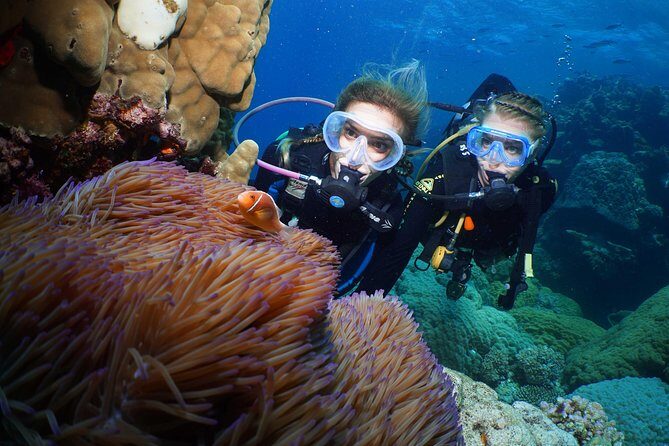 Adventure on a Budget Visit Kuranda or Palm Cove from Pt Douglas - FAQ