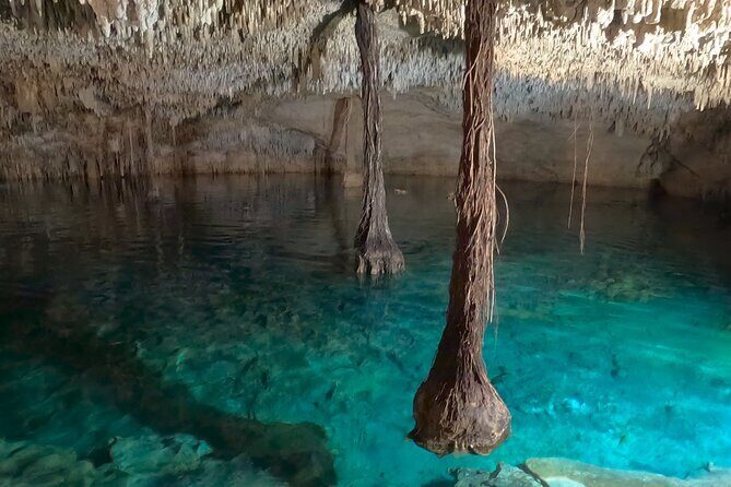 Adventure on the cenote route with zip line and typical lunch - The Sum Up