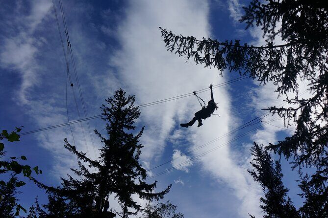 Adventure Parks & Zipline Tour - Why You Should Consider This Tour