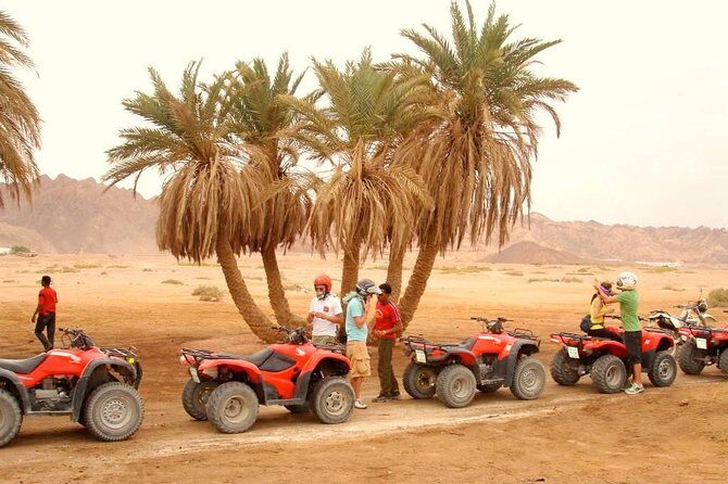 Adventure Quad Biking Tour in Dahab - Key Points