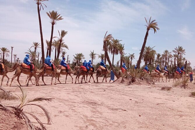 Adventure Quad Biks & Camel Ride - A Deep Dive into the Tour Experience