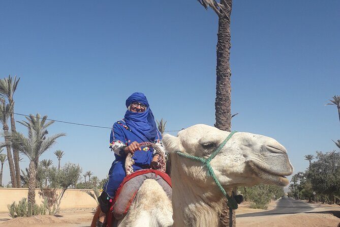 Adventure Quad Biks & Camel Ride - Who Should Consider This Tour?