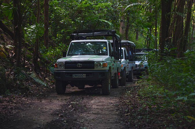 Adventure Safari - Summing It Up